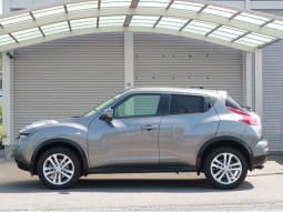 Nissan Juke 2011 full