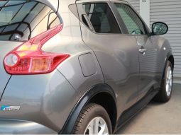 Nissan Juke 2011 full