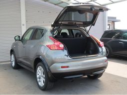 Nissan Juke 2011 full