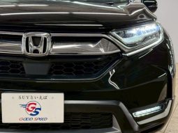 Honda CR-V 2019 full