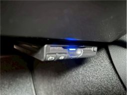 Tesla Model 3 2020 full