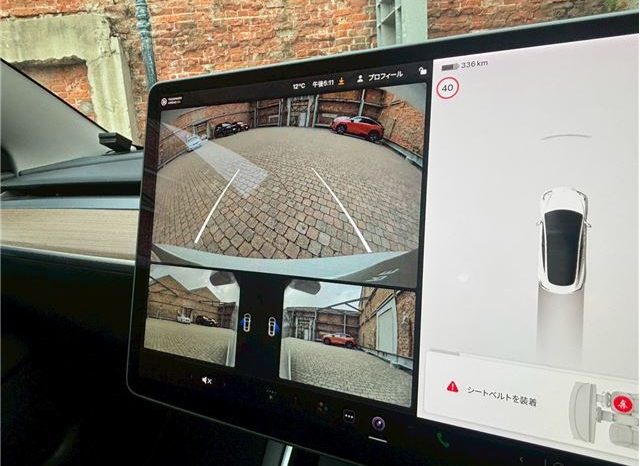 Tesla Model 3 2020 full