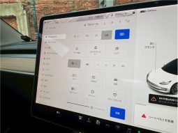 Tesla Model 3 2020 full