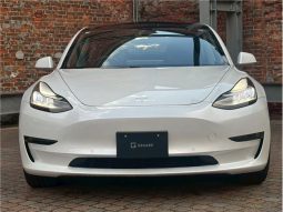 Tesla Model 3 2020 full