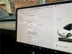 Tesla Model 3 2020 full