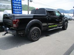 Ford F-150 2021 full