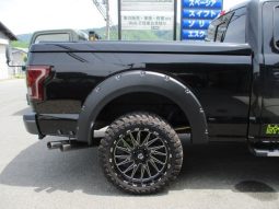 Ford F-150 2021 full