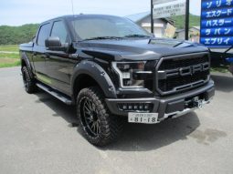 Ford F-150 2021 full