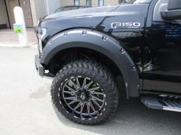 Ford F-150 2021 full