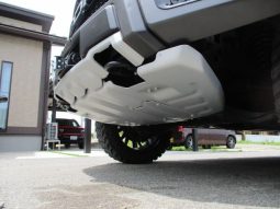 Ford F-150 2021 full