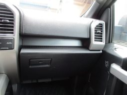 Ford F-150 2021 full