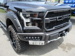 Ford F-150 2021 full