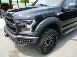 Ford F-150 2021 full