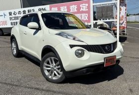 Nissan Juke 15RX 2010