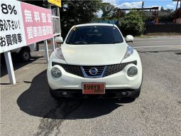 Nissan Juke 15RX 2010 full