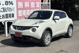 Nissan Juke 15RX 2010 full