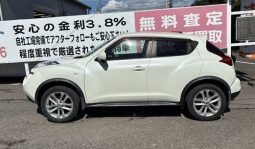 Nissan Juke 15RX 2010 full