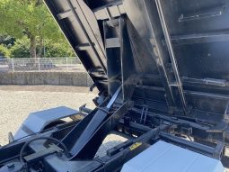 Isuzu Forward 2007 full