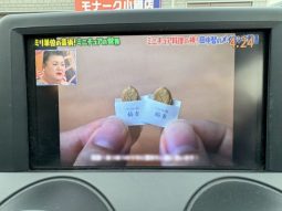 Nissan Dualis 2.0 20G FOUR Urban 2010 full