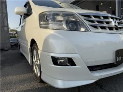 Toyota Alphard 2008 full