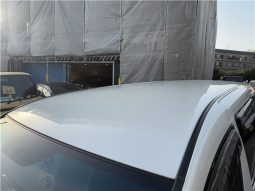 Toyota Alphard 2008 full