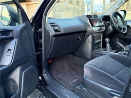 Toyota Land Cruiser Prado TX 2020 full