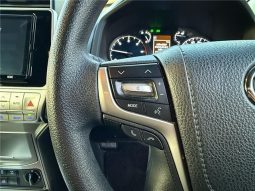 Toyota Land Cruiser Prado TX 2020 full