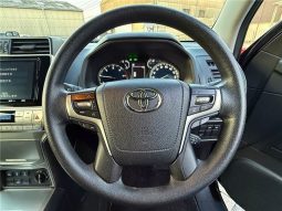 Toyota Land Cruiser Prado TX 2020 full