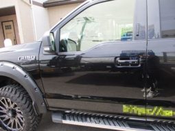 Ford F-150 2021 full