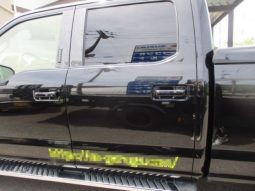 Ford F-150 2021 full