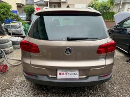 Volkswagen Tiguan TSI Bluemotion full