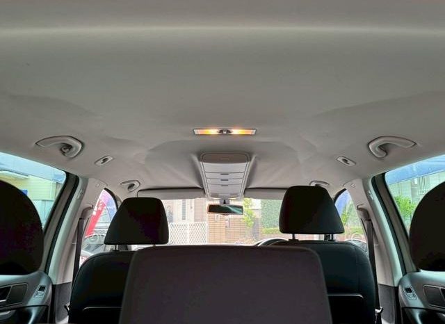 Volkswagen Tiguan TSI Bluemotion full