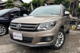 Volkswagen Tiguan TSI Bluemotion