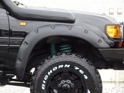 Toyota Land Cruiser 1994 full