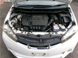 Toyota Wish 2010 full