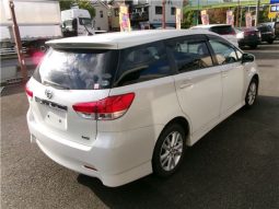 Toyota Wish 2010 full