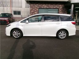 Toyota Wish 2010 full