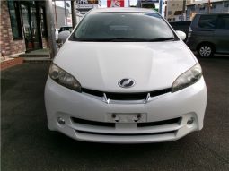 Toyota Wish 2010 full