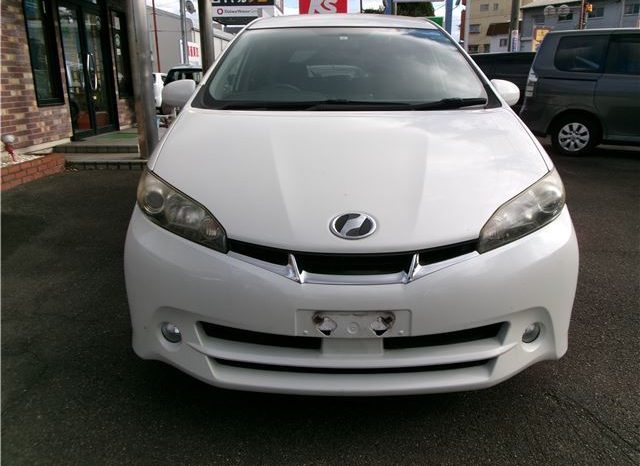 Toyota Wish 2010 full
