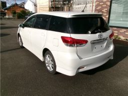 Toyota Wish 2010 full