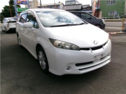 Toyota Wish 2010 full