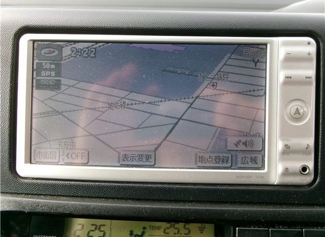 Toyota Wish 2010 full