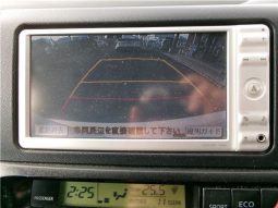 Toyota Wish 2010 full