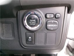 Toyota Wish 2010 full