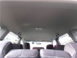 Toyota Wish 2010 full