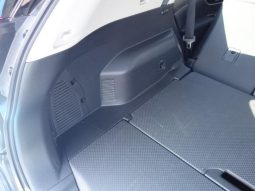 Nissan X-Trail 20X 2018 full