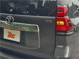 Toyota Land Cruiser Prado TX 2019 full