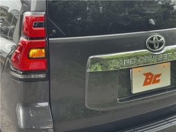 Toyota Land Cruiser Prado TX 2019 full