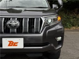 Toyota Land Cruiser Prado TX 2019 full