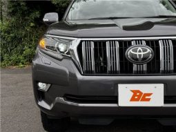 Toyota Land Cruiser Prado TX 2019 full